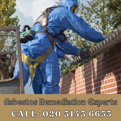 Asbestos Remediation Experts Collier Row