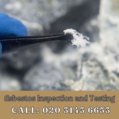 Comprehensive Asbestos Inspection and Testing Services in Collier Row